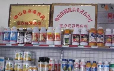 農(nóng)藥零售店 農(nóng)業(yè)生產(chǎn)的守護者