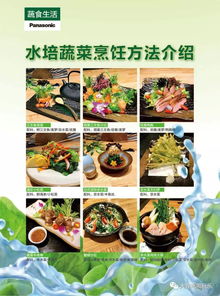 水培蔬菜面市，無農藥無污染贏得用戶贊譽