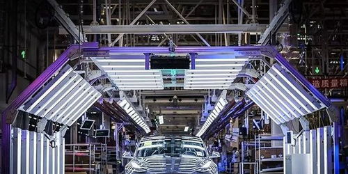 最“南”之年已過(guò)，這6款年度車(chē)型值得被銘記